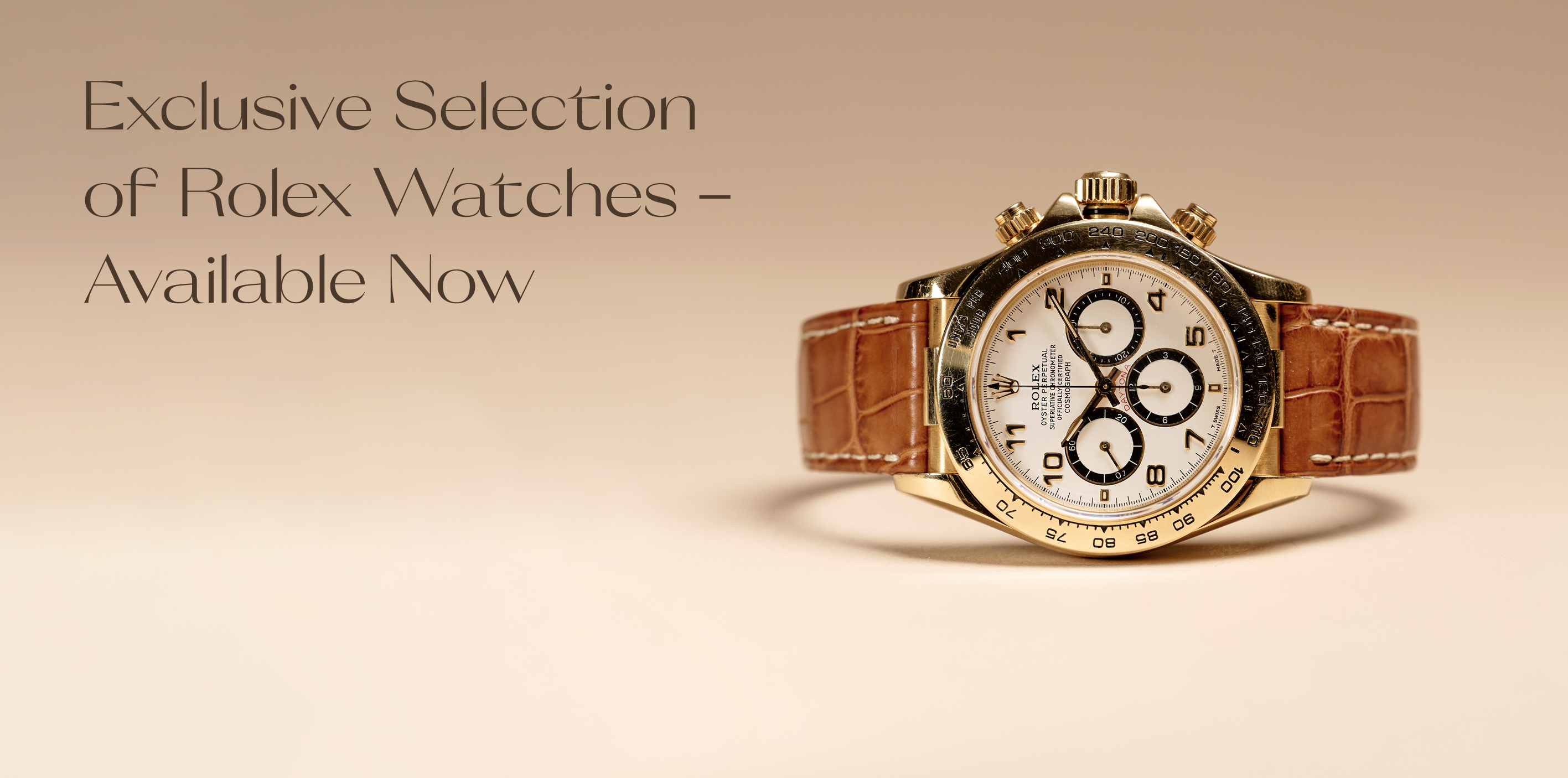 Rolex Watches