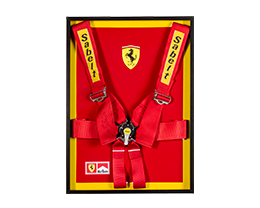 Zum Online-Katalog