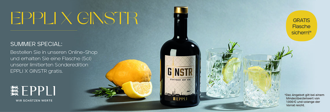 EPPLI X GINSTR - Banner web