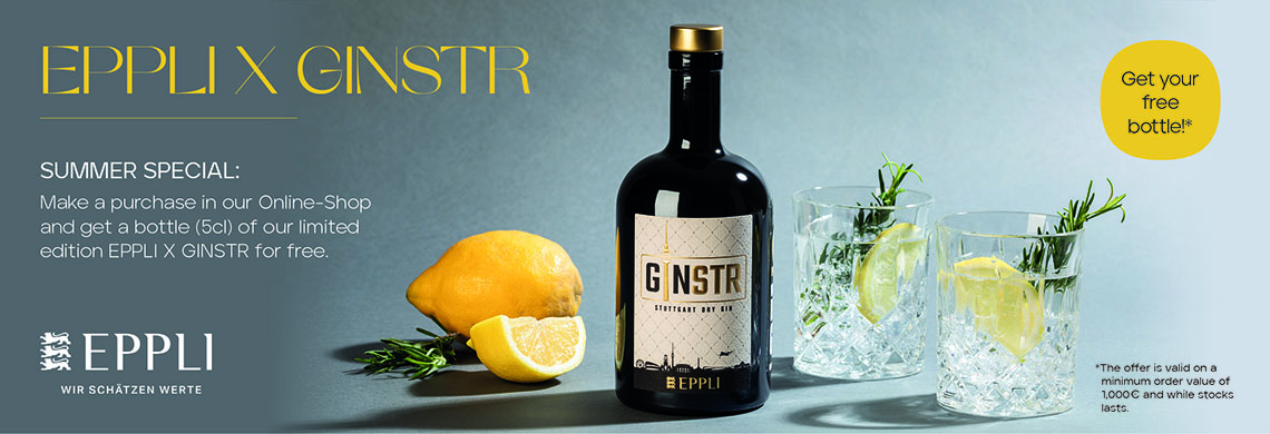 EPPLI X GINSTR - Banner web