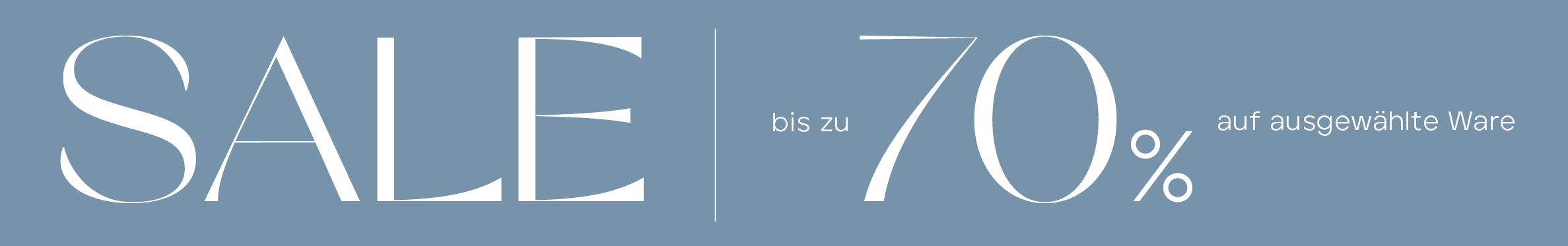 Sale 2025 - Banner web