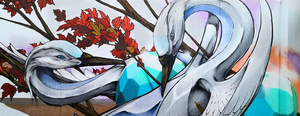 Jeroo - Street Art
