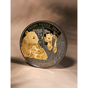 Silver Bars & Silver Coins