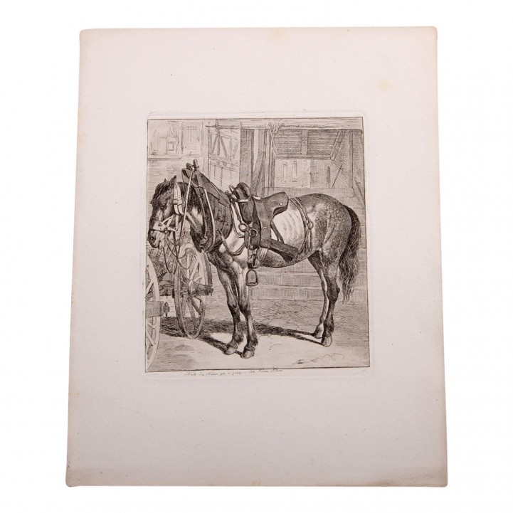 KLEIN, Johann Adam (1792-1875) 3 Kupferstiche mit Pferdemotiven. 