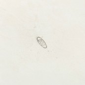 morepic-5