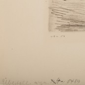 morepic-6