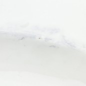 morepic-9